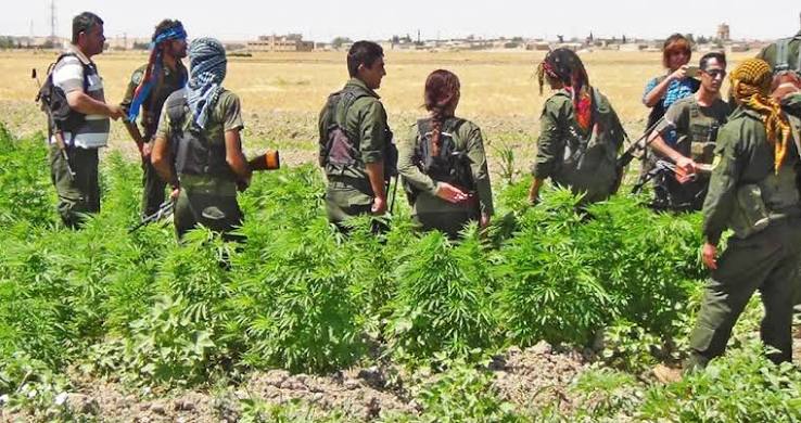 پ‌ک‌ک و قاچاق مواد مخدر: شاهرگ حیاتی تروریسم در ترکیه