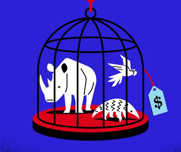 جرایم سازمانیافته چیست: قاچاق حیوانات و منابع طبیعی