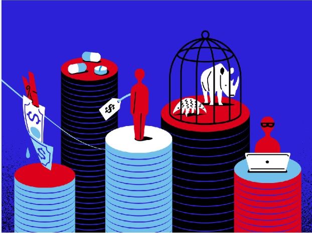 جرایم سازمان‌یافته چیست